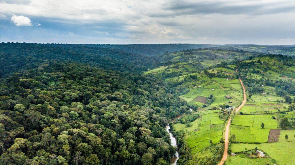 The Mau Forest Complex Reforestation Launch