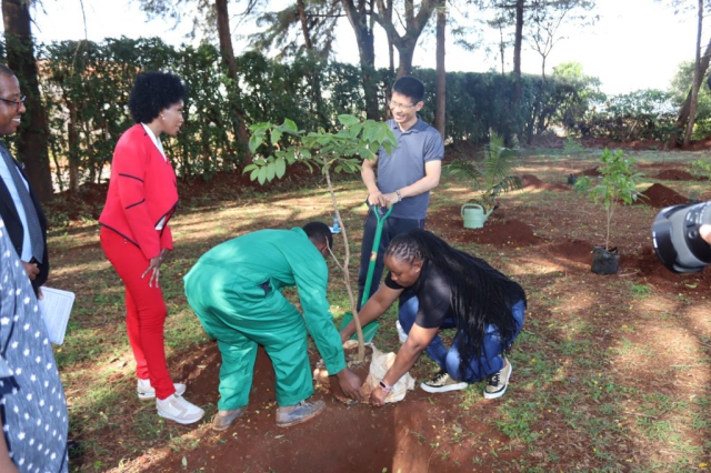 Tree planting at Hospital Hill High School