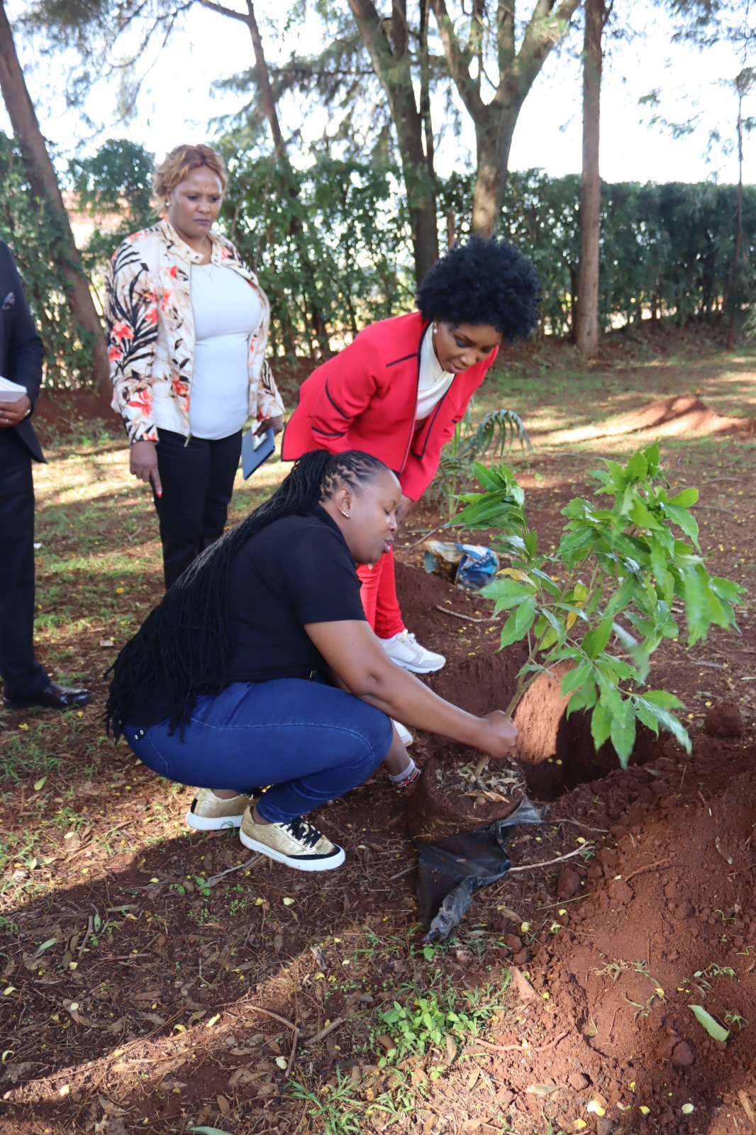 Tree planting at Hospital Hill High School