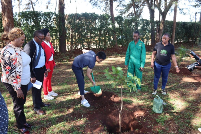 Tree planting at Hospital Hill High School