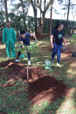 Tree planting at Hospital Hill High School