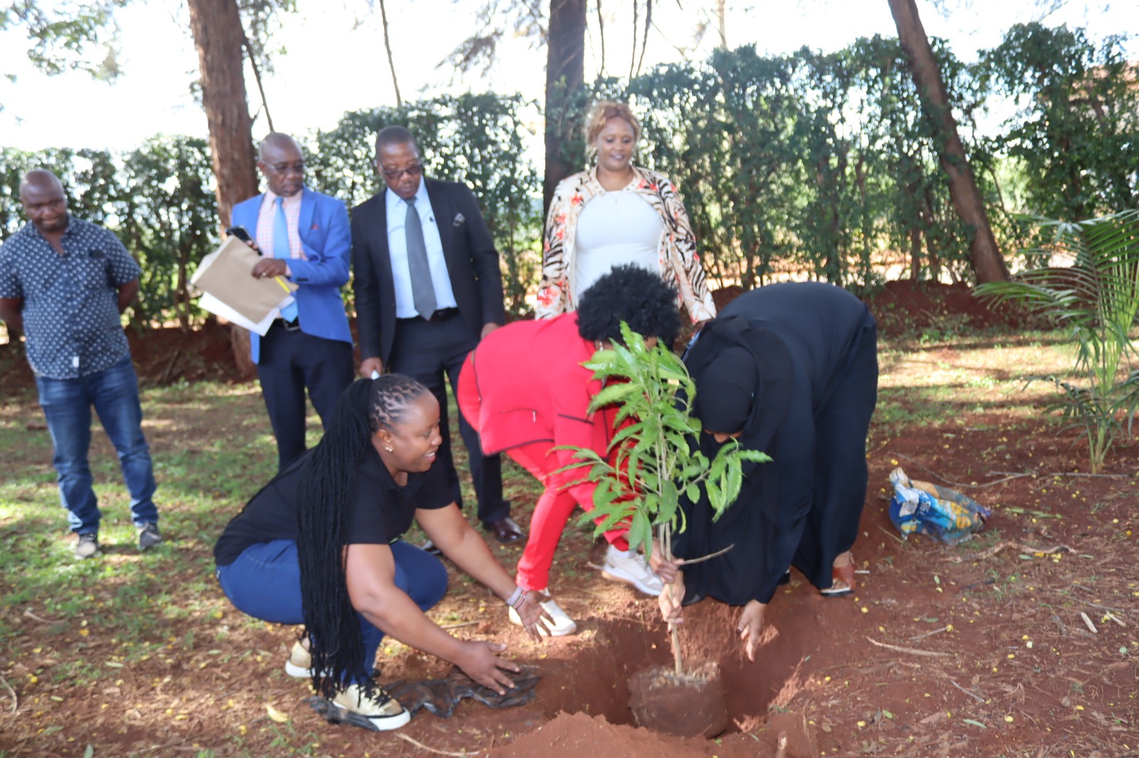 Tree planting at Hospital Hill High School