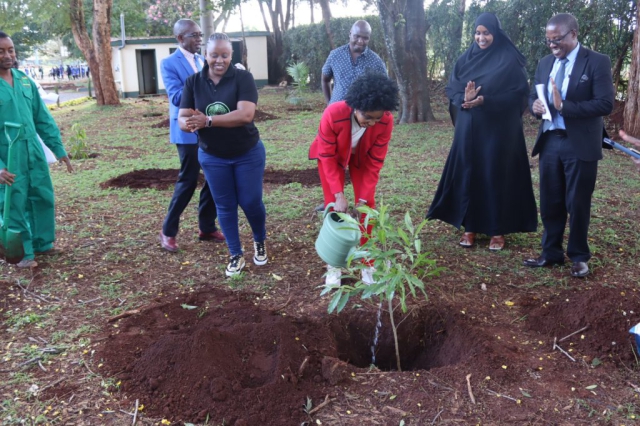 Tree planting at Hospital Hill High School