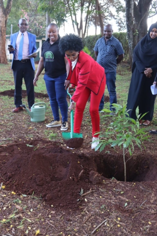 Tree planting at Hospital Hill High School