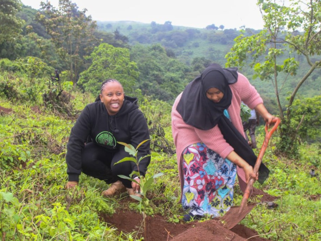 Ngong Forest Tree Planting by Green Cover Trees Kenya