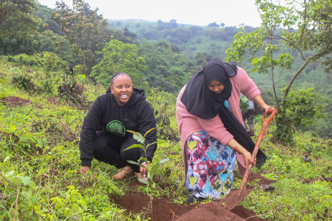 Ngong Forest Tree Planting by Green Cover Trees Kenya