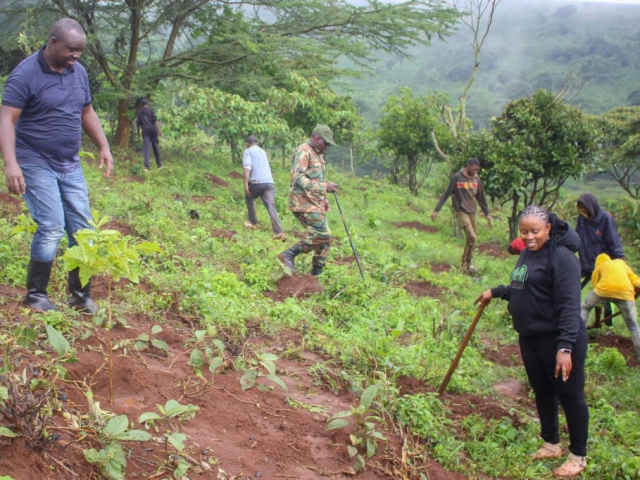 Ngong Forest Tree Planting by Green Cover Trees Kenya