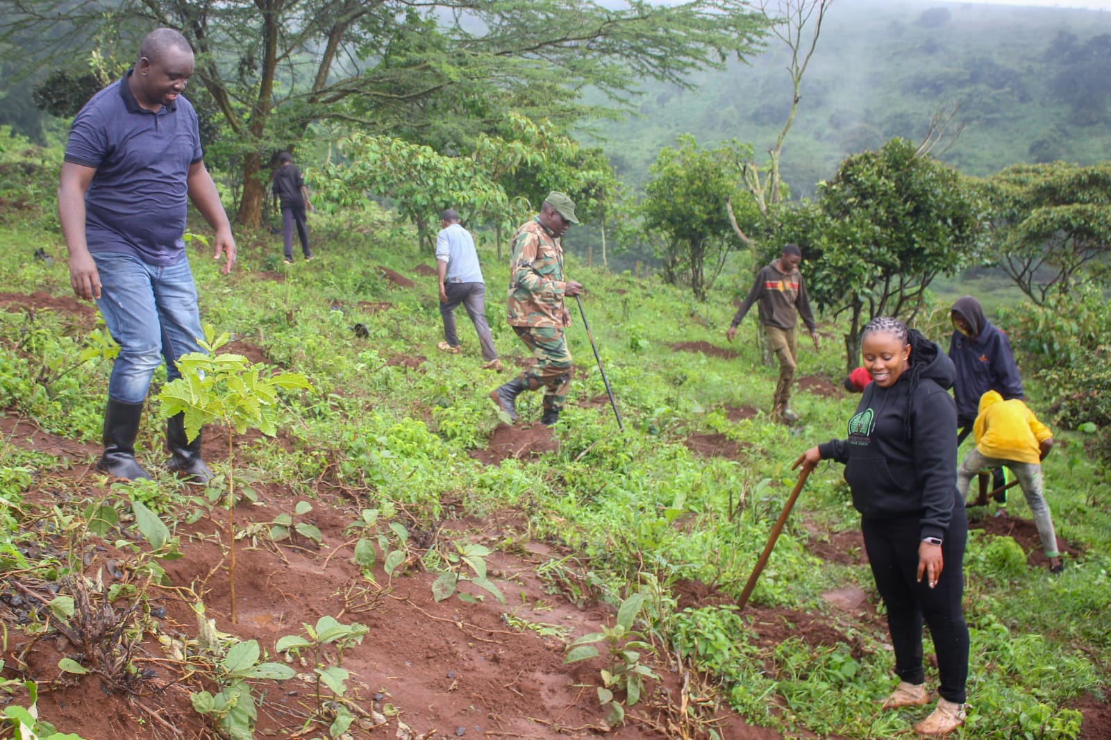 Ngong Forest Tree Planting by Green Cover Trees Kenya