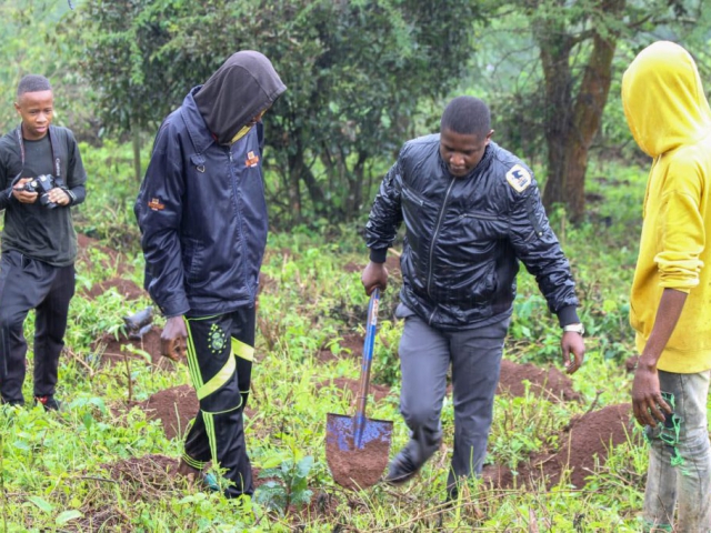 Ngong Forest Tree Planting by Green Cover Trees Kenya