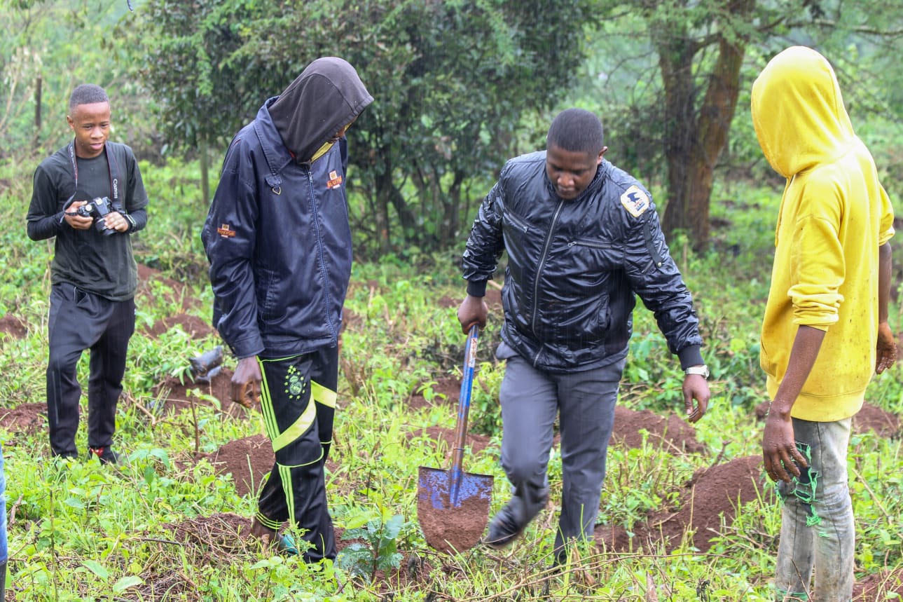 Ngong Forest Tree Planting by Green Cover Trees Kenya