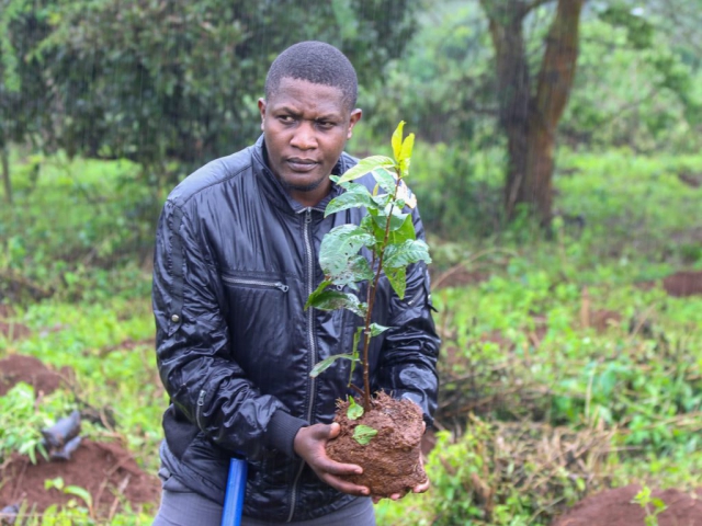 Ngong Forest Tree Planting by Green Cover Trees Kenya