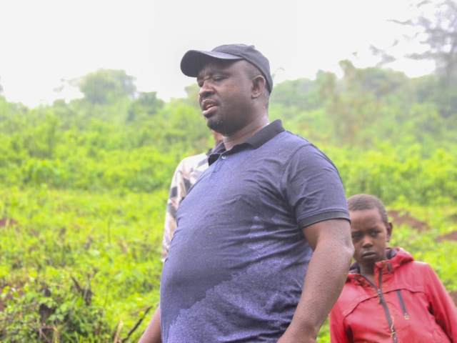 Ngong Forest Tree Planting by Green Cover Trees Kenya