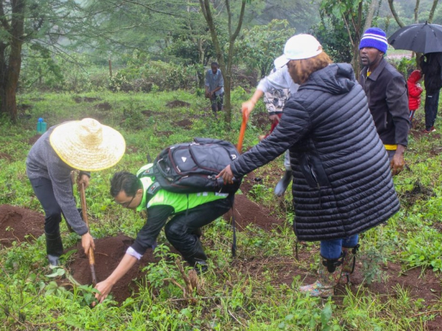 Ngong Forest Tree Planting by Green Cover Trees Kenya