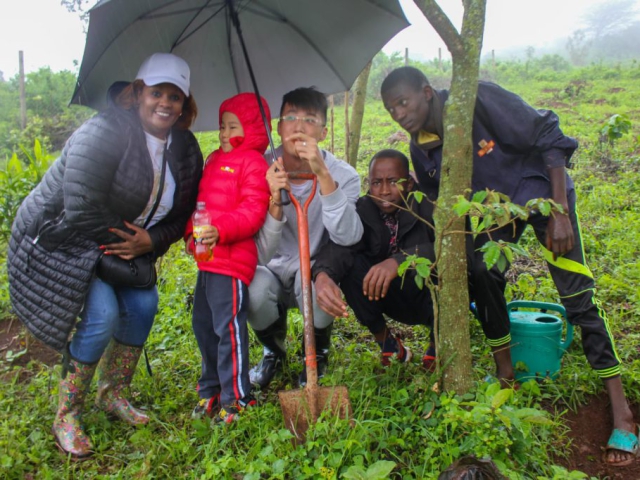 Ngong Forest Tree Planting by Green Cover Trees Kenya