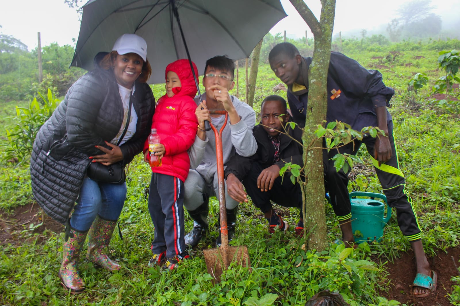 Ngong Forest Tree Planting by Green Cover Trees Kenya