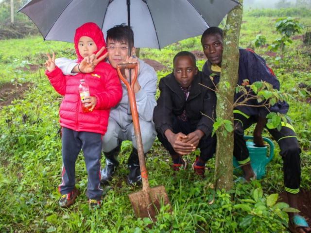 Ngong Forest Tree Planting by Green Cover Trees Kenya