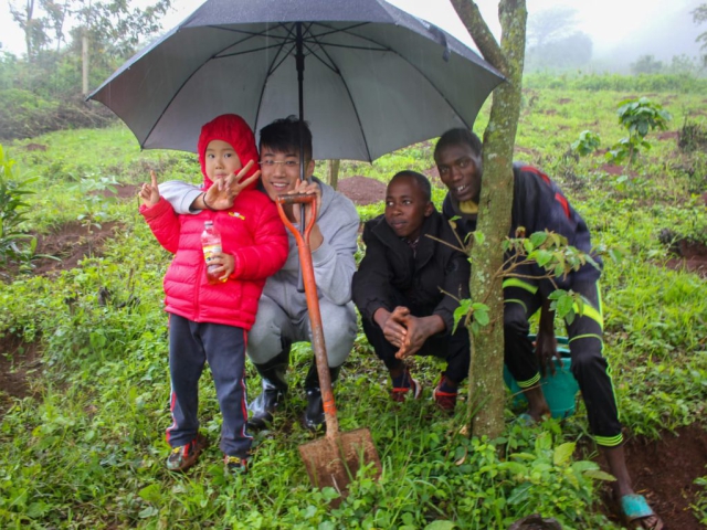 Ngong Forest Tree Planting by Green Cover Trees Kenya