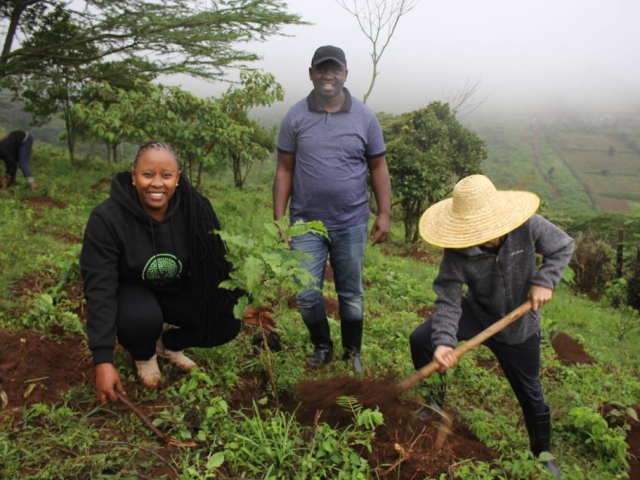 Ngong Forest Tree Planting by Green Cover Trees Kenya