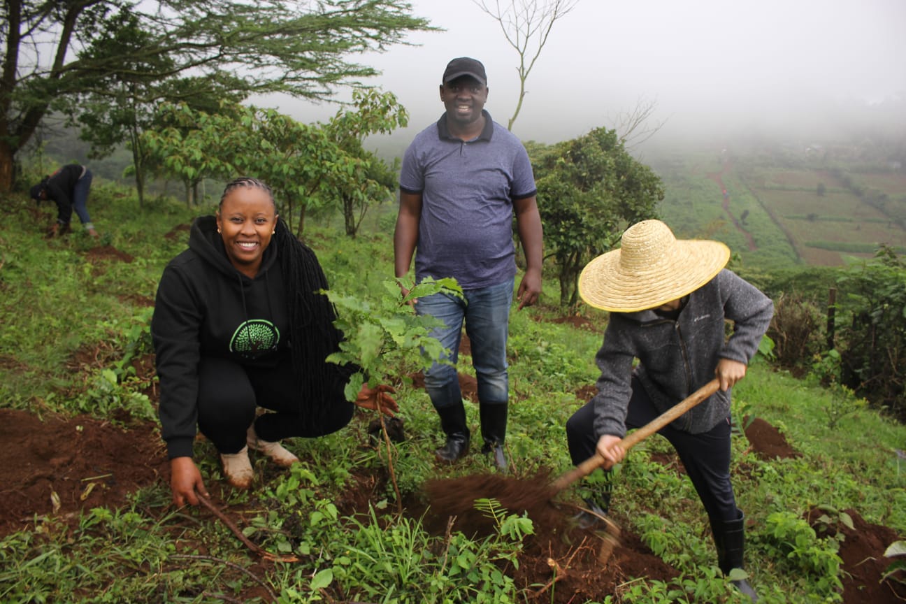 Ngong Forest Tree Planting by Green Cover Trees Kenya