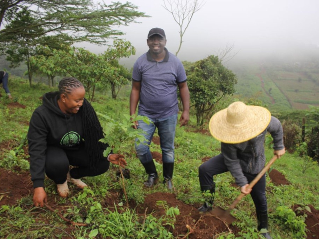 Ngong Forest Tree Planting by Green Cover Trees Kenya