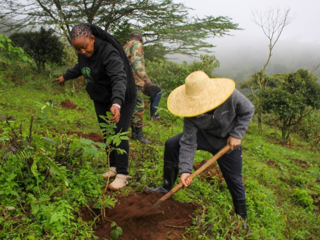 Ngong Forest Tree Planting by Green Cover Trees Kenya