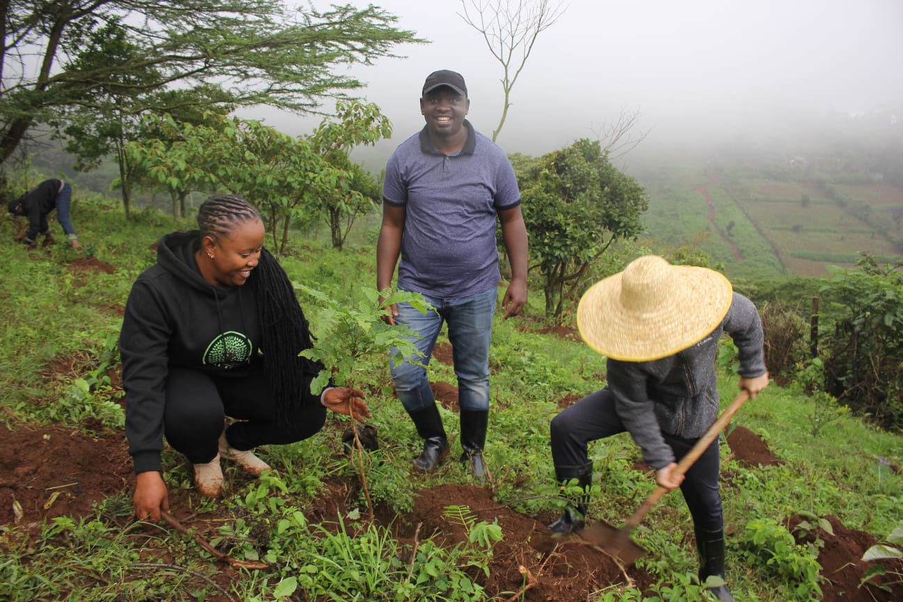 Ngong Forest Tree Planting by Green Cover Trees Kenya