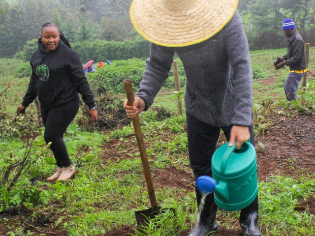 Ngong Forest Tree Planting by Green Cover Trees Kenya