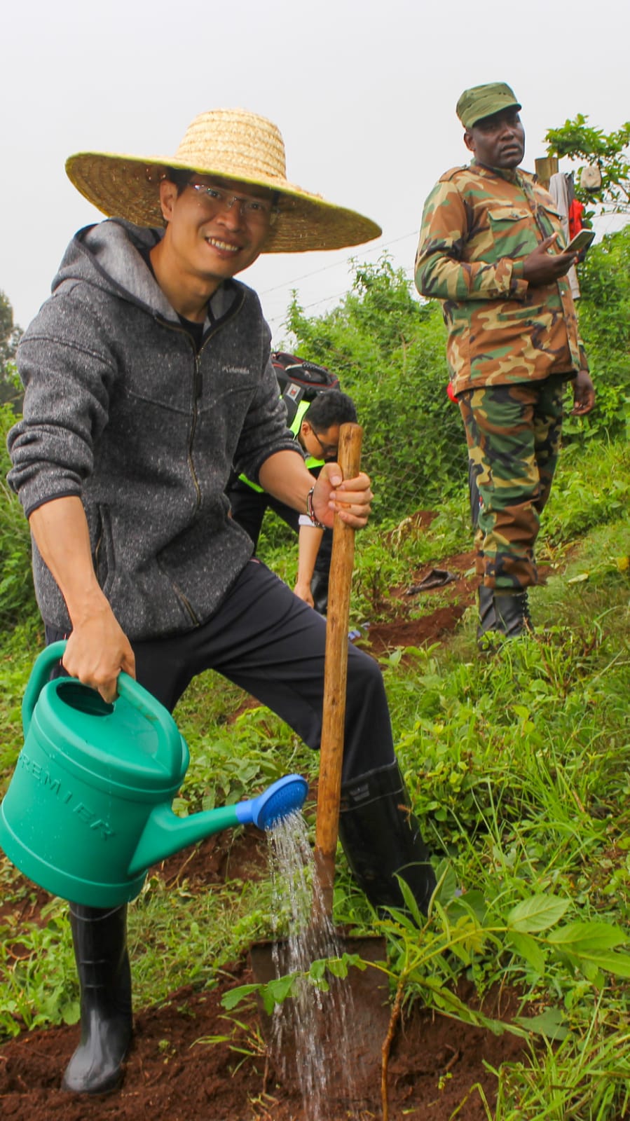 Ngong Forest Tree Planting by Green Cover Trees Kenya