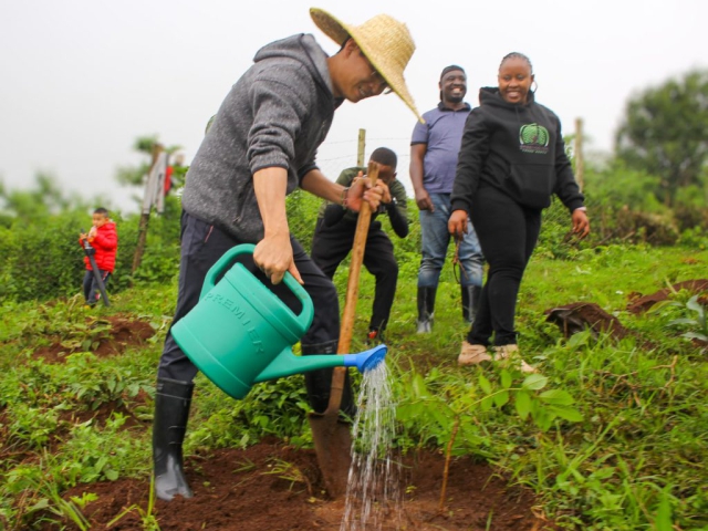 Ngong Forest Tree Planting by Green Cover Trees Kenya