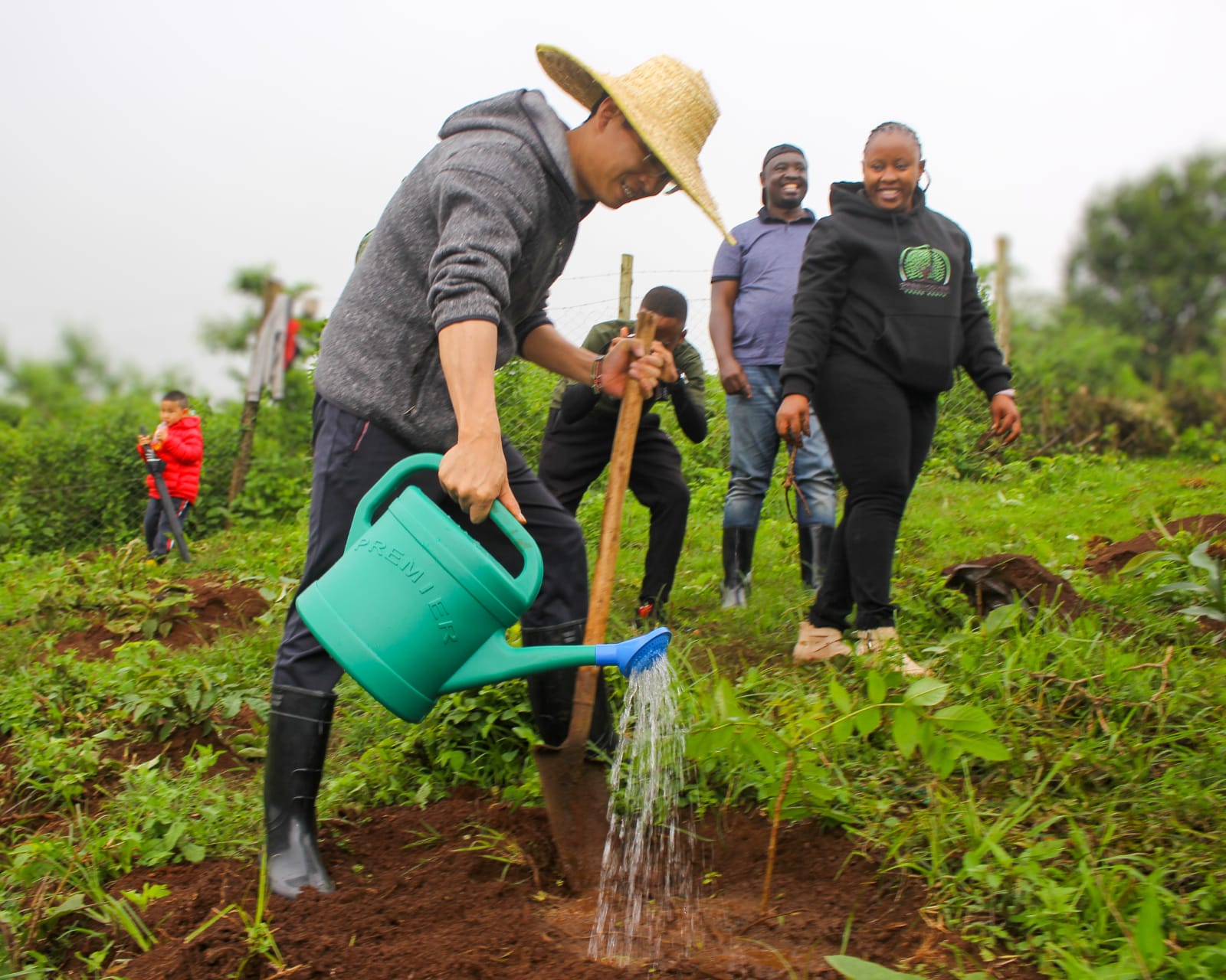 Ngong Forest Tree Planting by Green Cover Trees Kenya