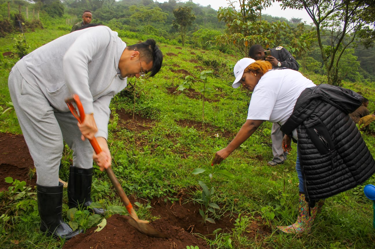 Ngong Forest Tree Planting by Green Cover Trees Kenya