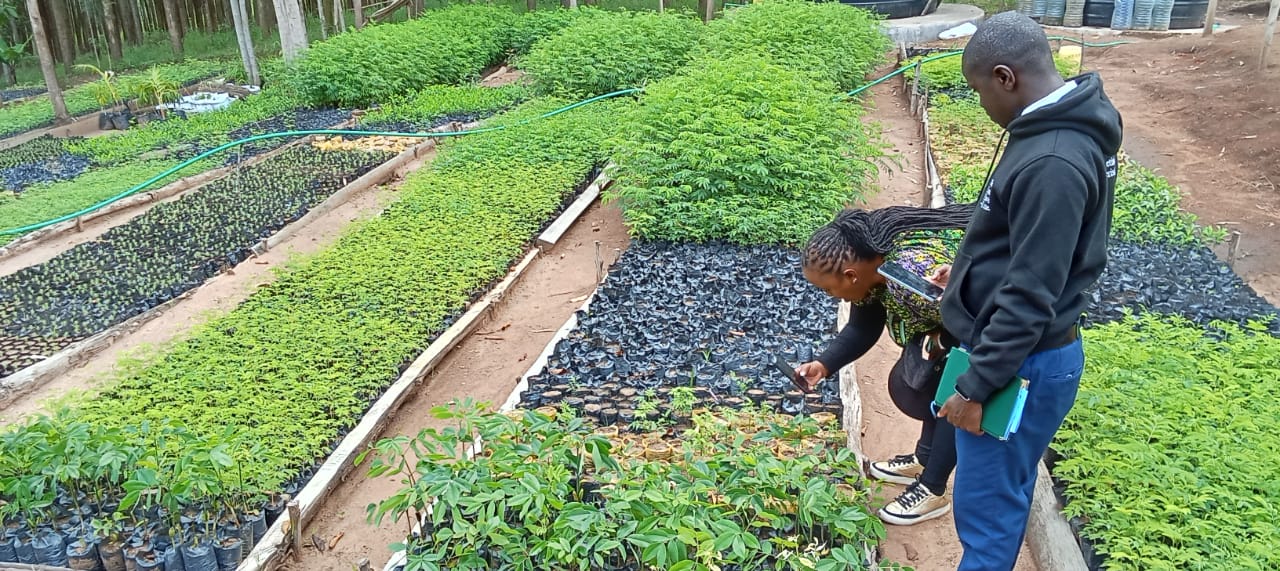 Green World Youth visit to our GreenCover Trees nursery.