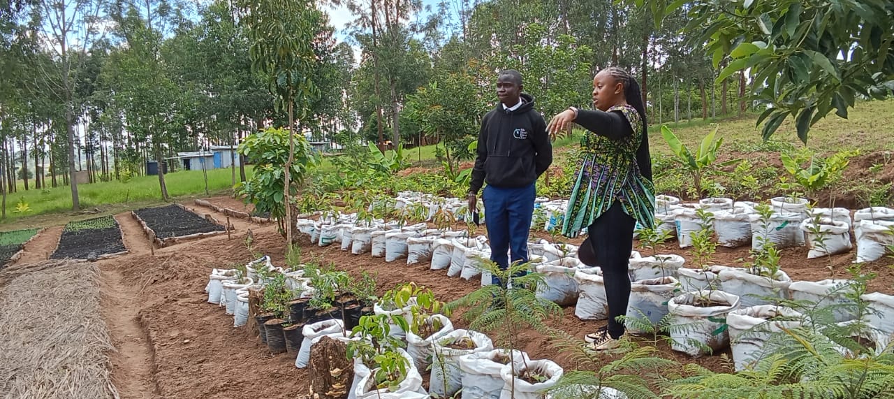 Green World Youth visit to our GreenCover Trees nursery.