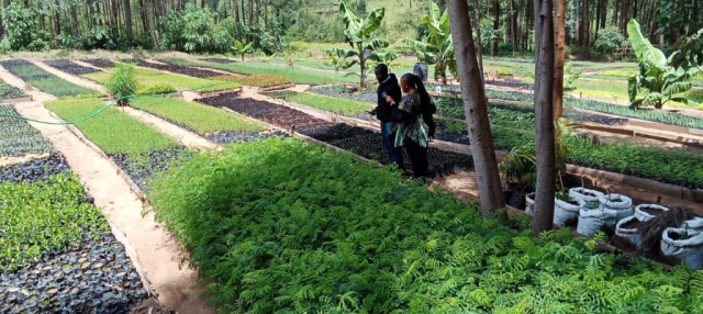 Green World Youth visit to our GreenCover Trees nursery.