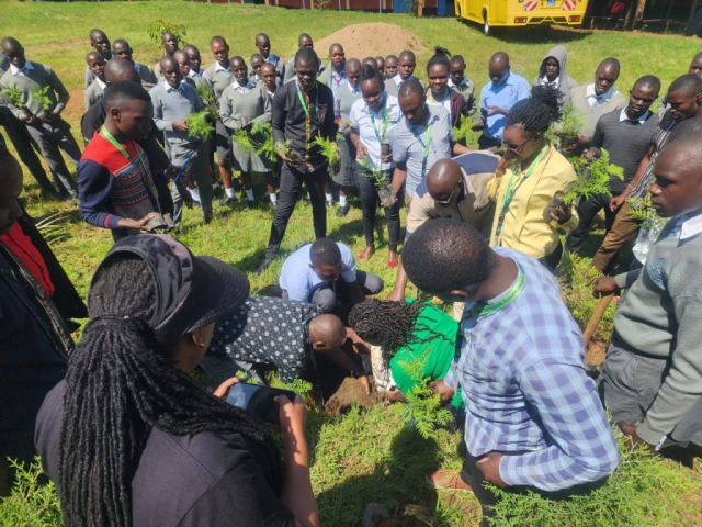 Tree Planting Caravan by KCB bank and Greencover Trees Kenya