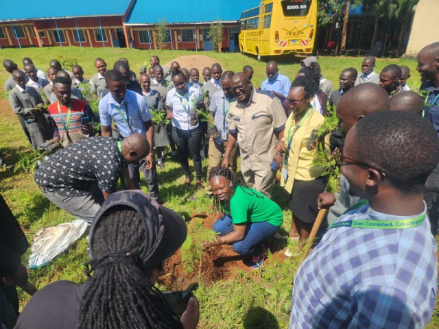 Tree Planting Caravan by KCB bank and Greencover Trees Kenya