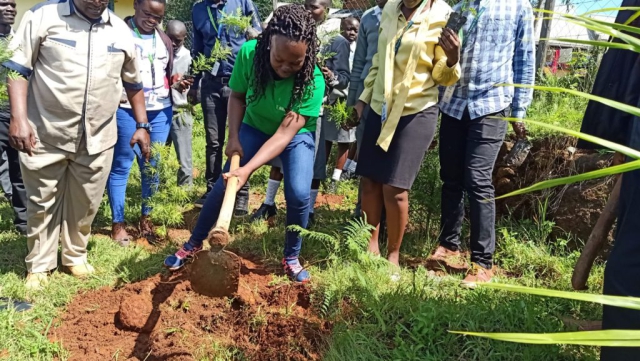 Tree Planting Caravan by KCB bank and Greencover Trees Kenya