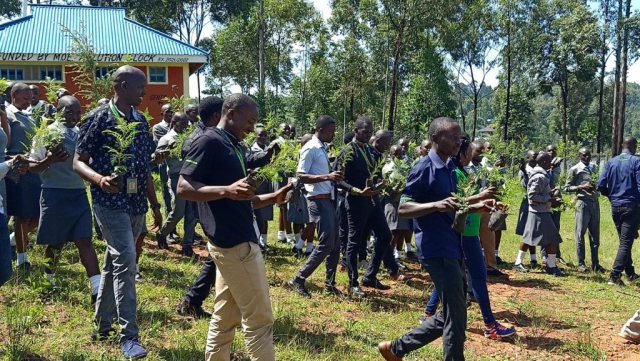 Tree Planting Caravan by KCB bank and Greencover Trees Kenya