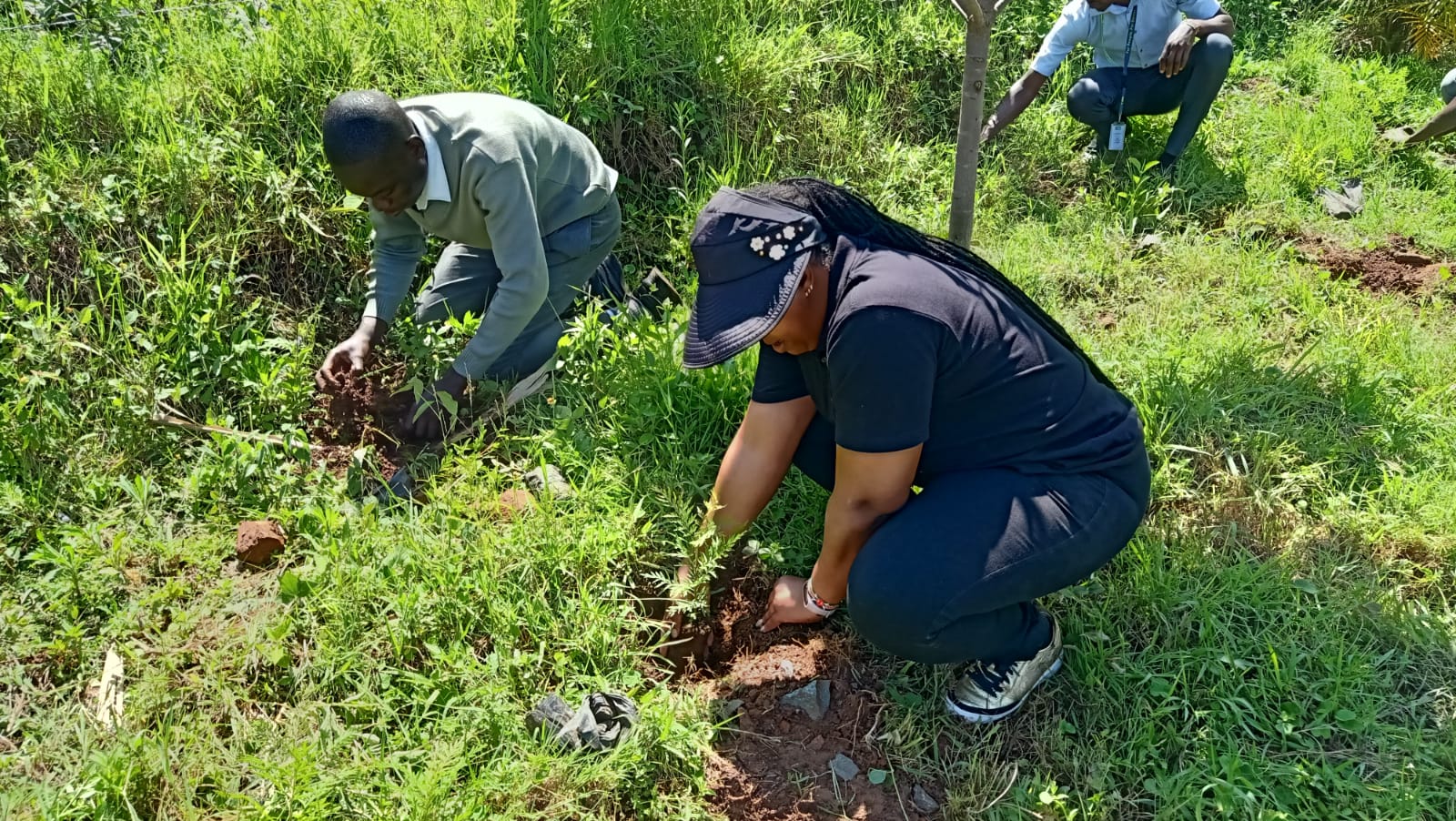 Tree Planting Caravan by KCB bank and Greencover Trees Kenya