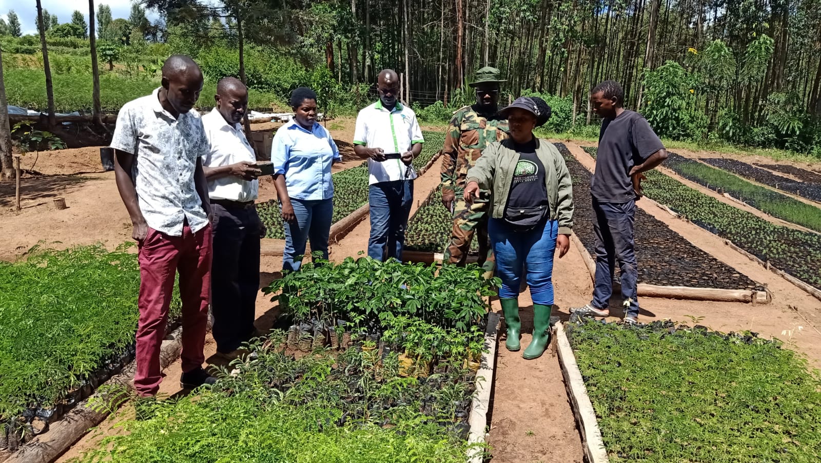 Visit by Kenya Forest Research Institute, Kenya Water Towers and Kenya Forest