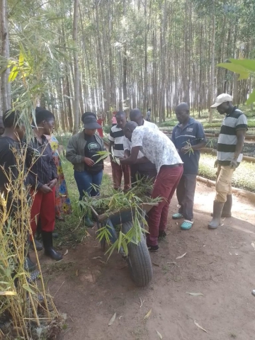 Visit by Kenya Forest Research Institute, Kenya Water Towers and Kenya Forest