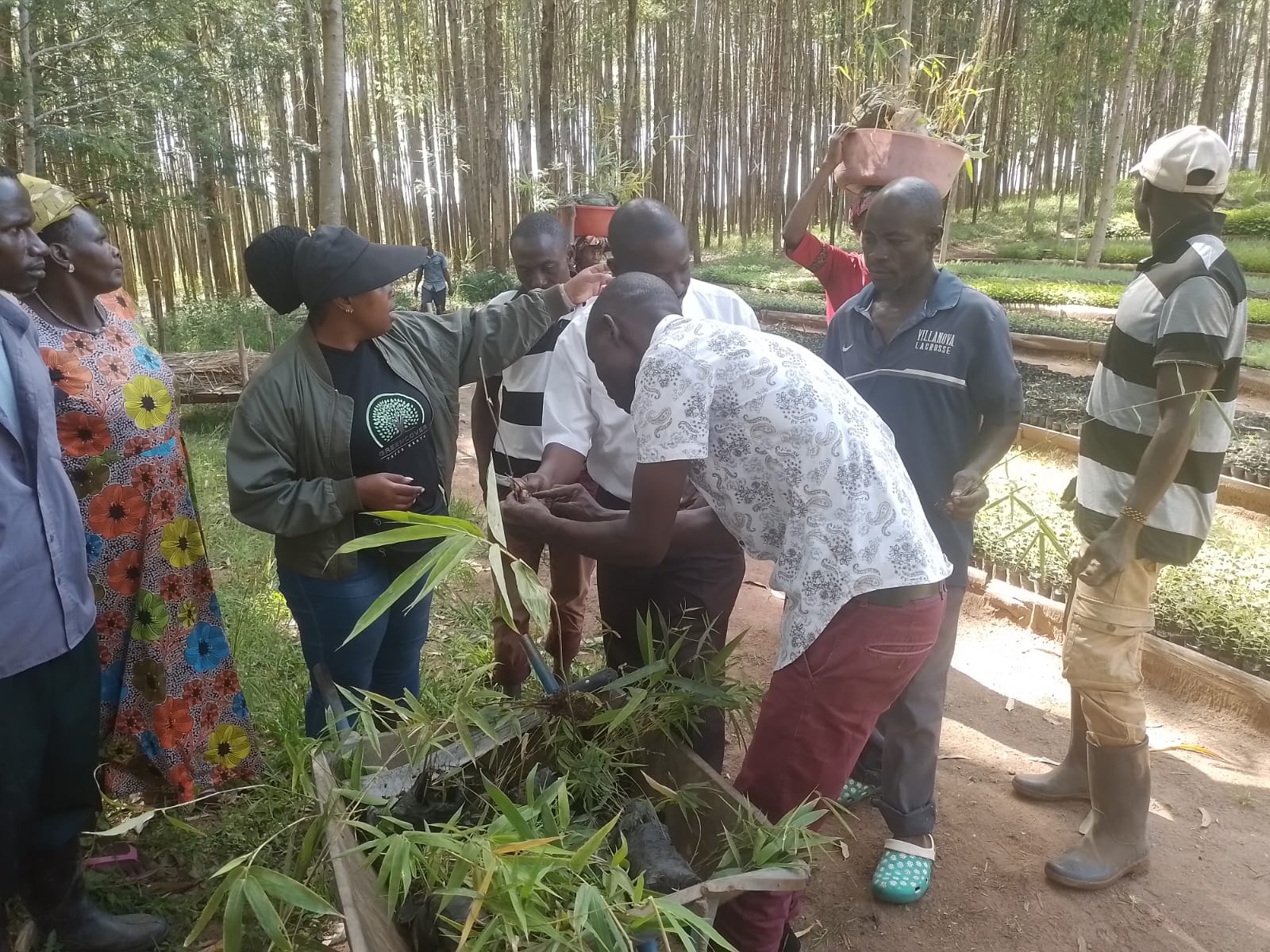 Visit by Kenya Forest Research Institute, Kenya Water Towers and Kenya Forest